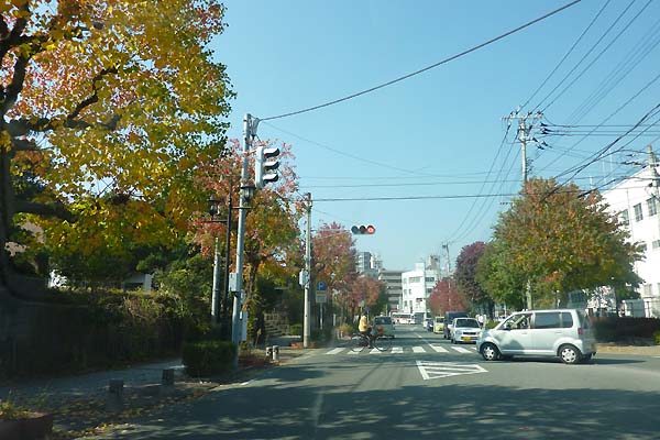 �喴�c�x�@���O