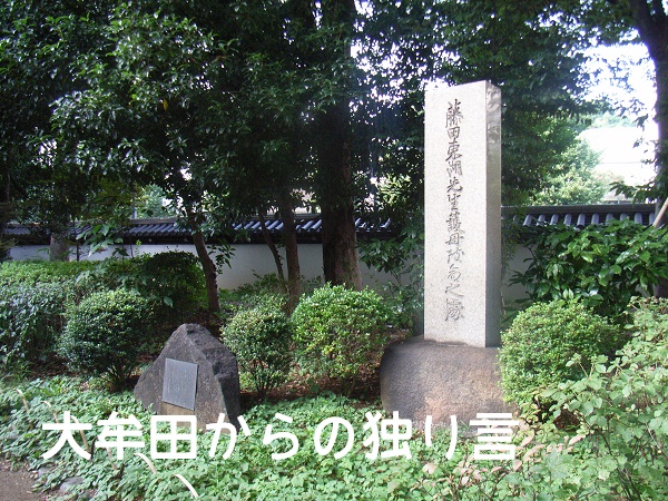 ���c���Ό��v���̏�