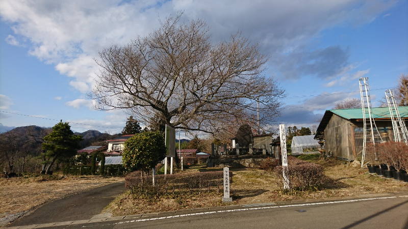 ����n�w����