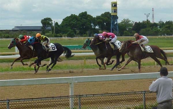 �r�����n��