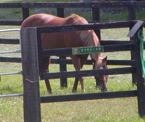 �^�C�L�V���g��