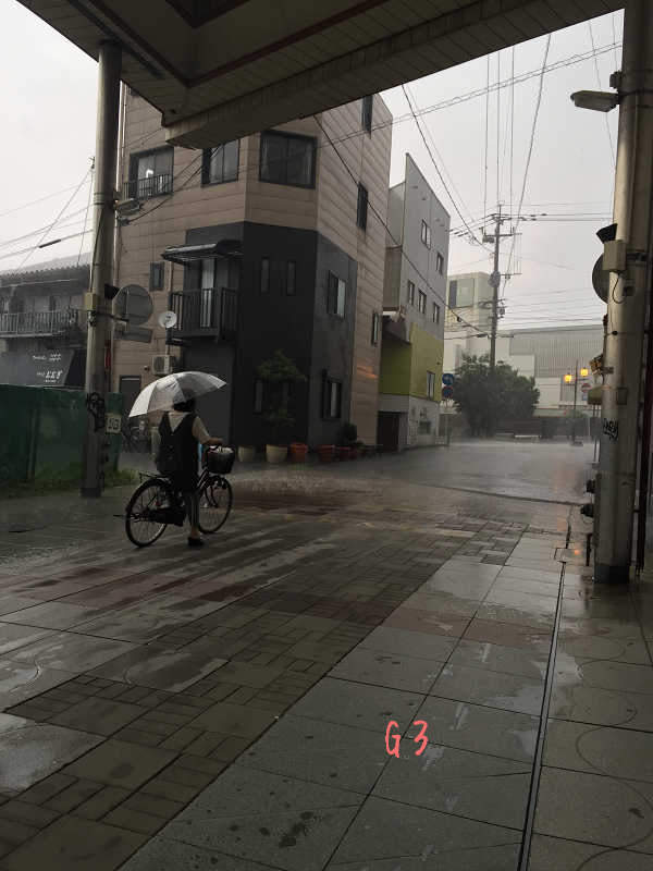 �喴�c�s�{���ł̉J