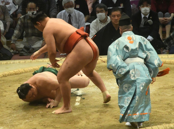 �L����-���c�̊C