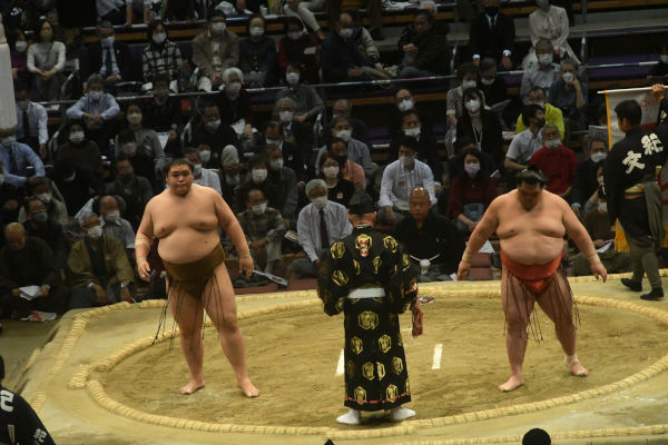 ������-���Q