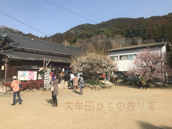 �������̗[��