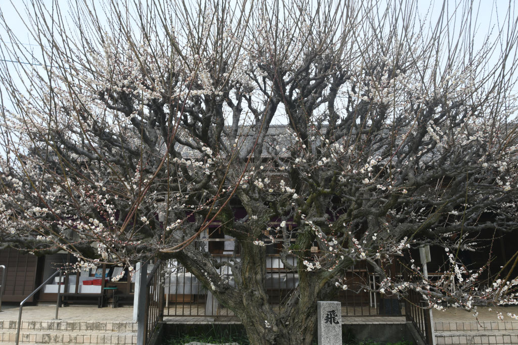 ��������~