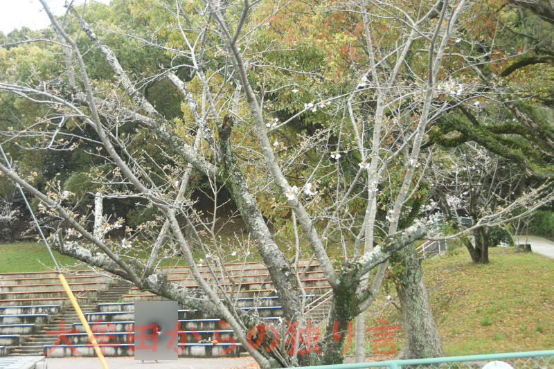 ���������J��