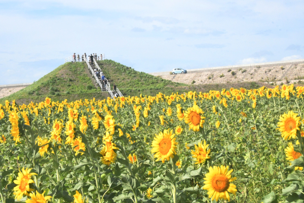 柳川ひまわり園