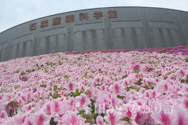 �ΒY�Y�ƉȊw�كc�c�W