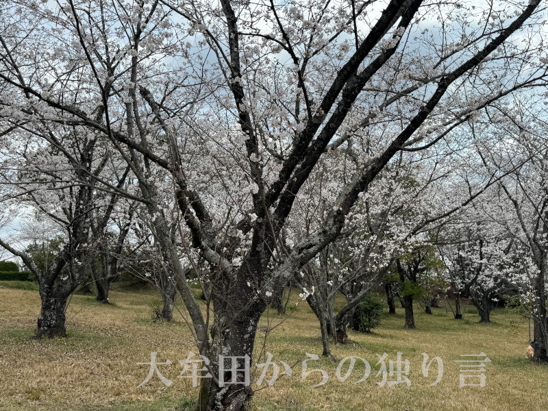 �Ö،�����