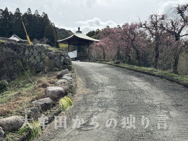 ������������~