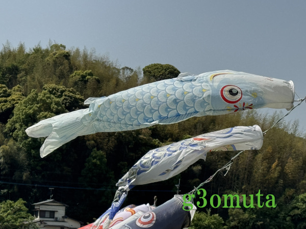 ��{���̂����̂ڂ�