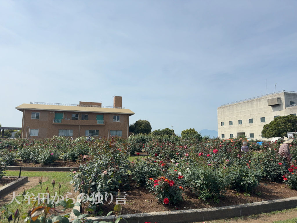 �r���s�o����