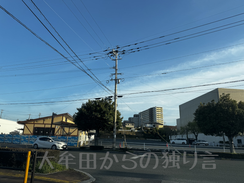 �R���_����X�F�{�r���X���ݒ�