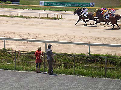 �r�����n