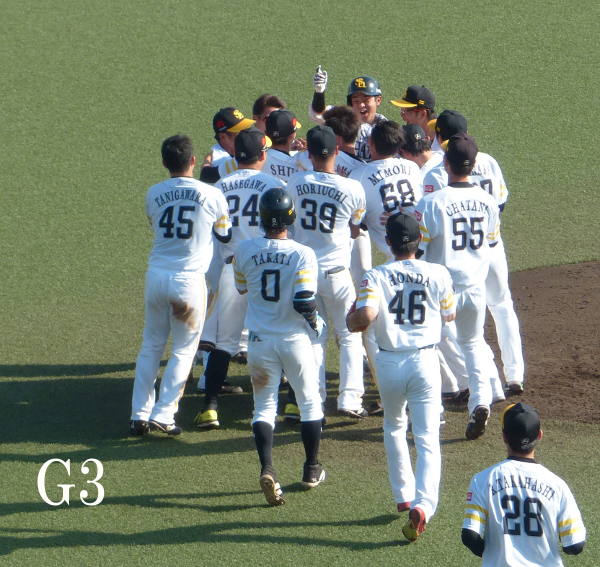 ���{�D��