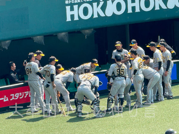 �^�C�K�[�X�~�w