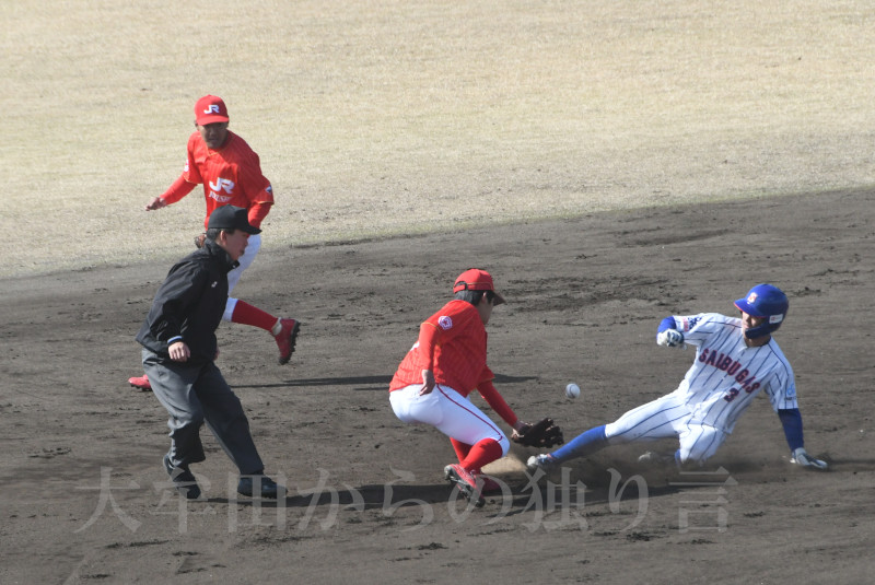 �����K�X��������I�肪���ۂ����߂�