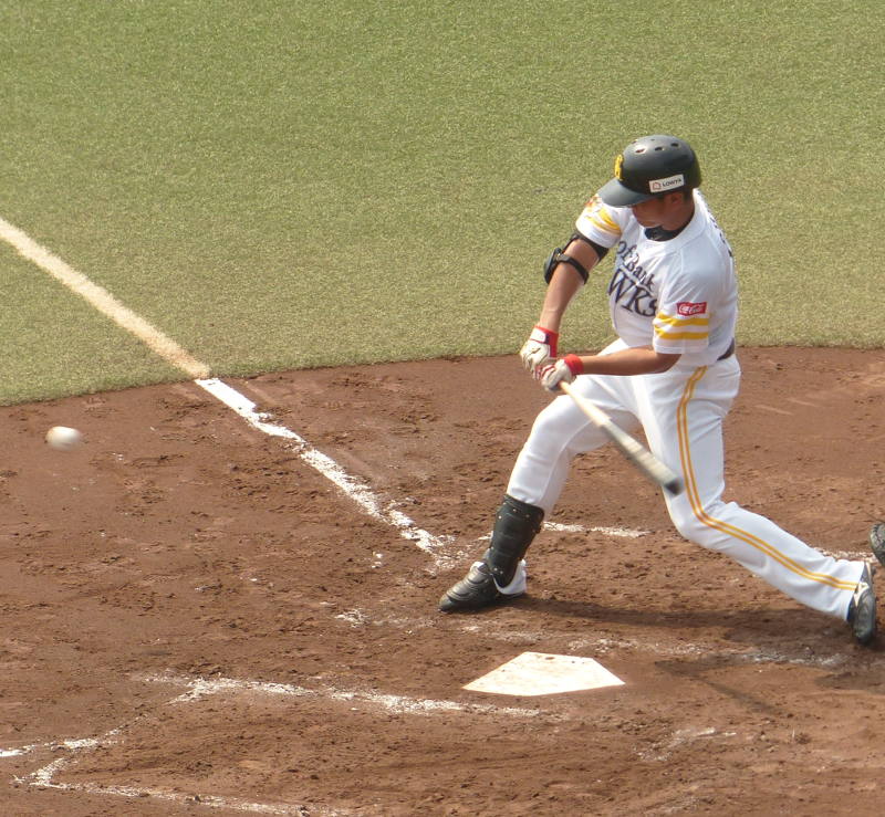 �z�[�N�X��{