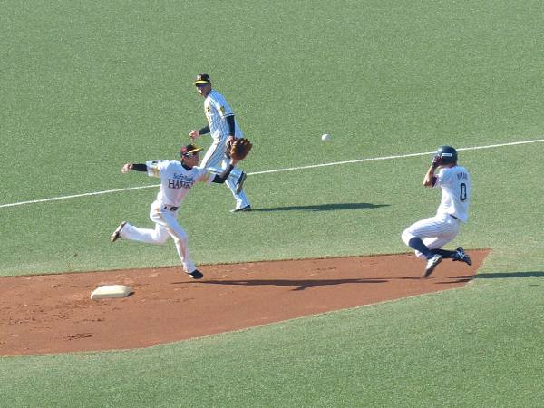 �䉮���̓���