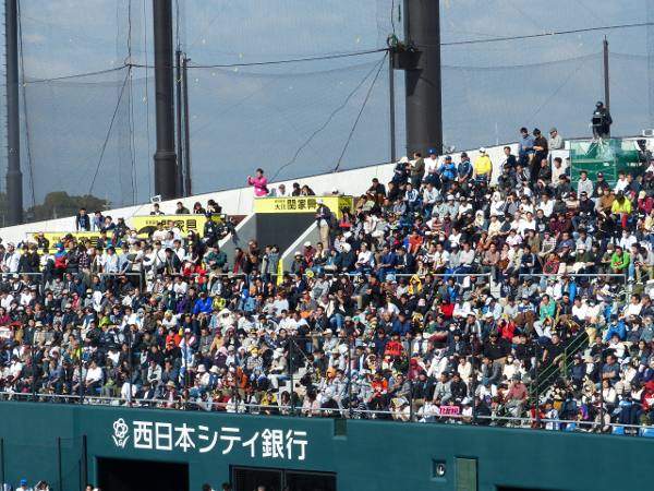 �g���C�A�E�g�X�^���h