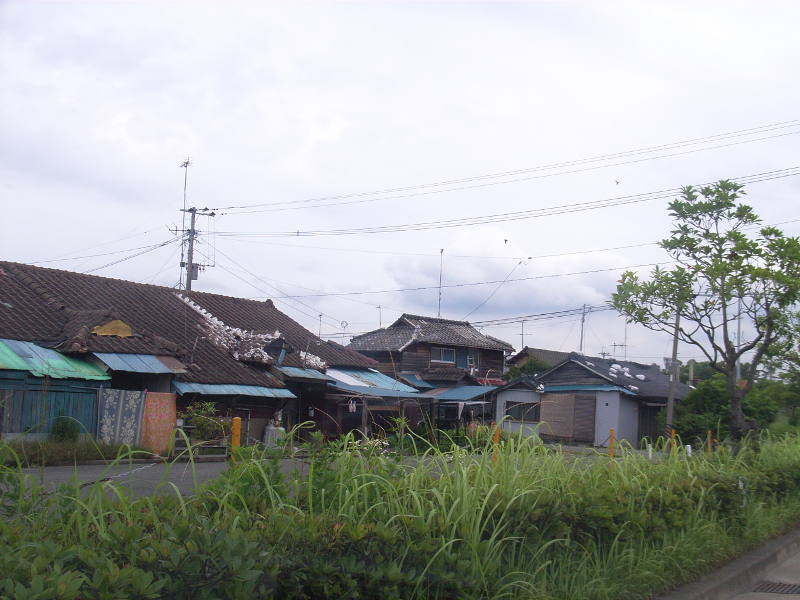 ���D�Б�2006