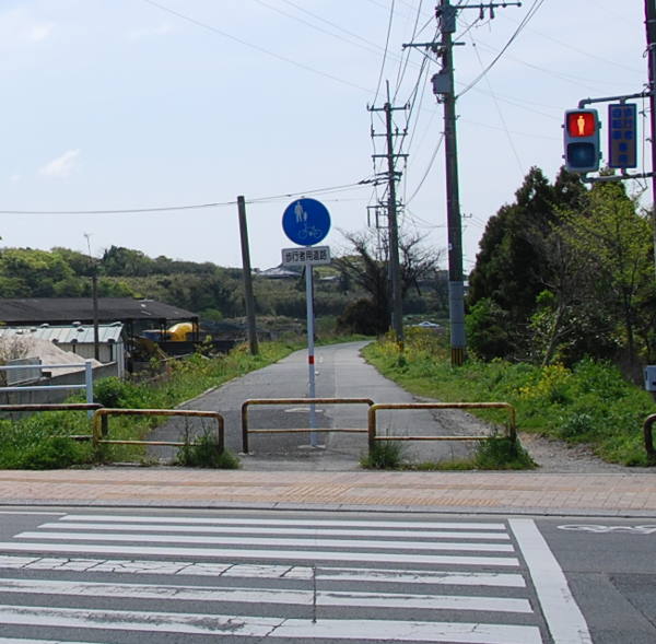 �r���s�T�C�N�����O���[�h