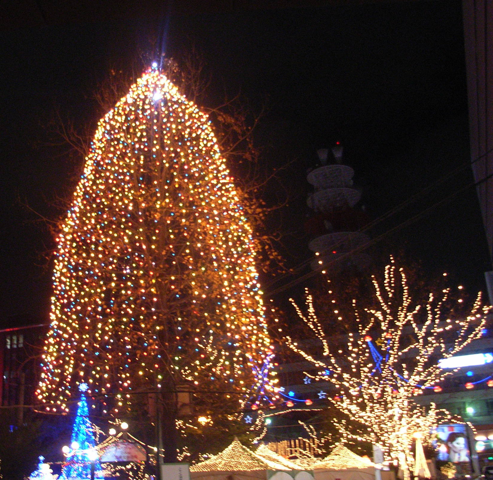 �N���X�}�X�c���[