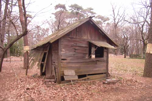 �S���Y�̉�