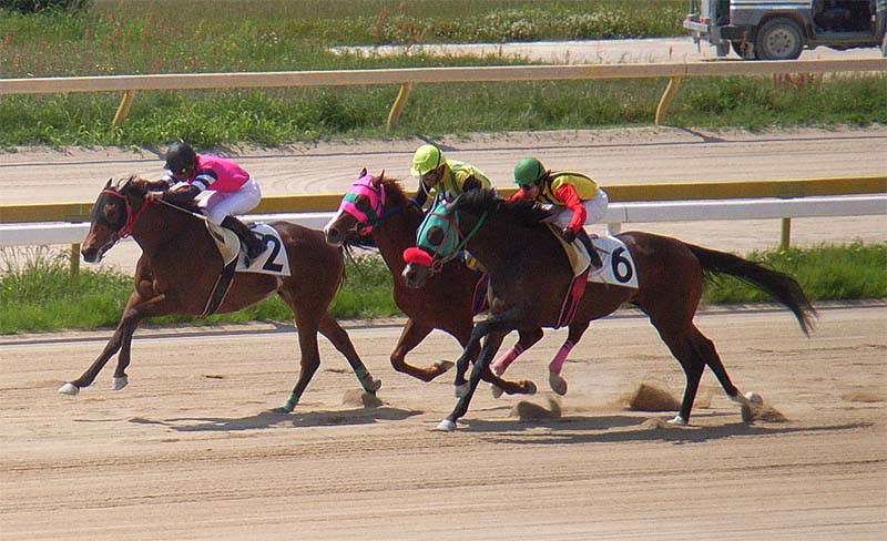 �r�����n��