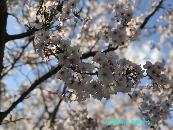 ��������������