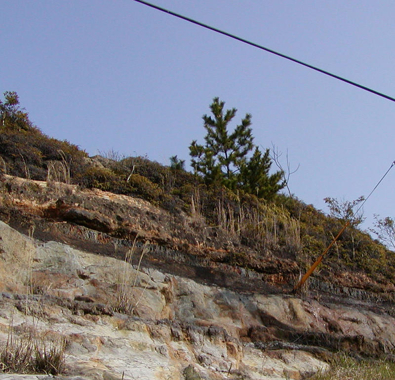 �A�p�b�`��