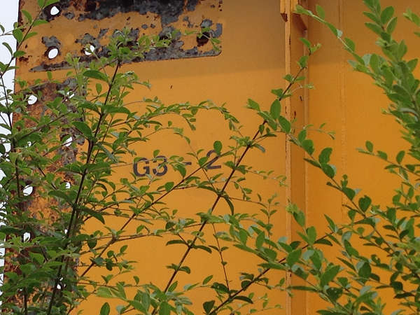 G3