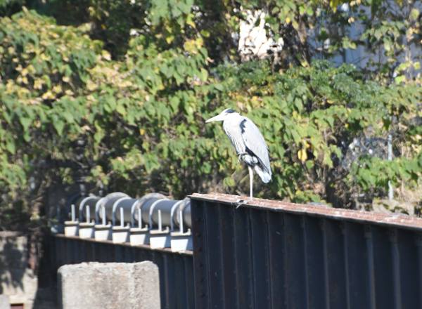 �K�^�K�^��