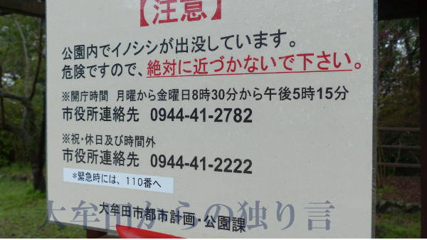 �����������̂���