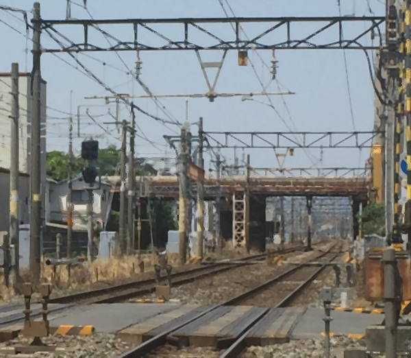 �h���w��