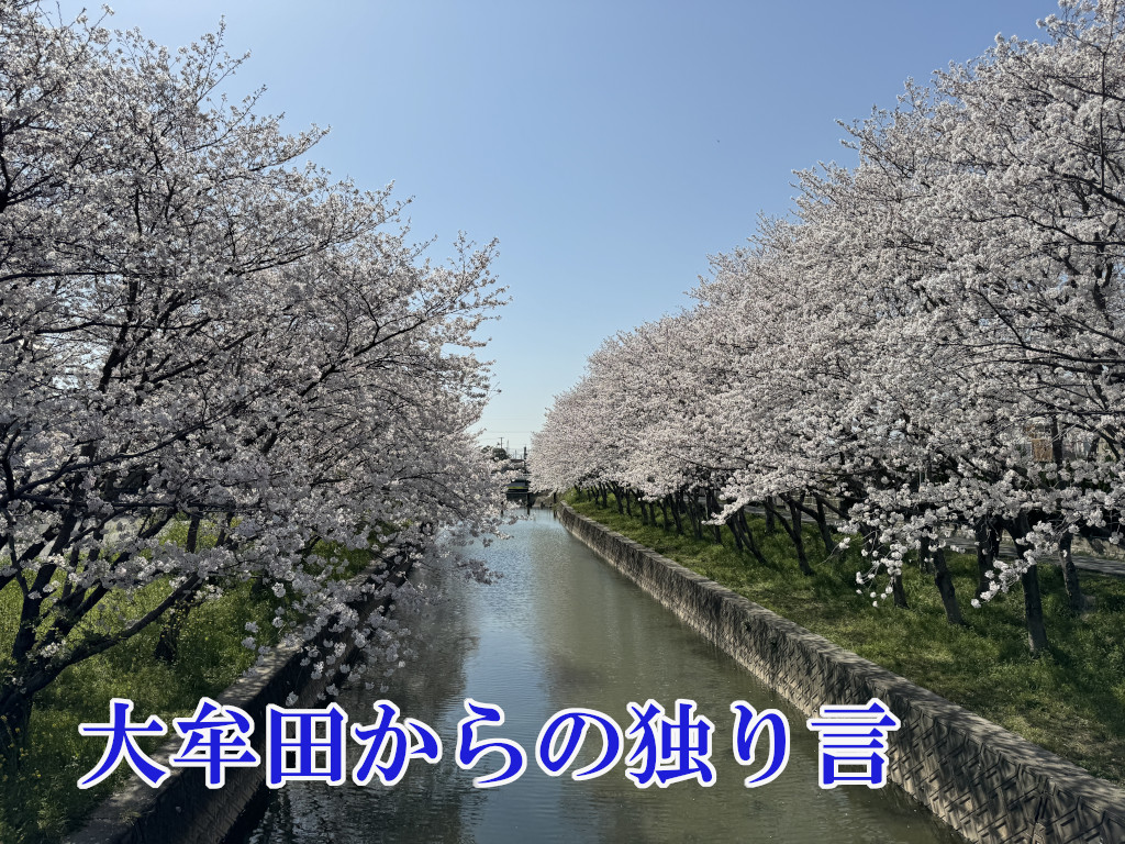 ���ʐ���炭