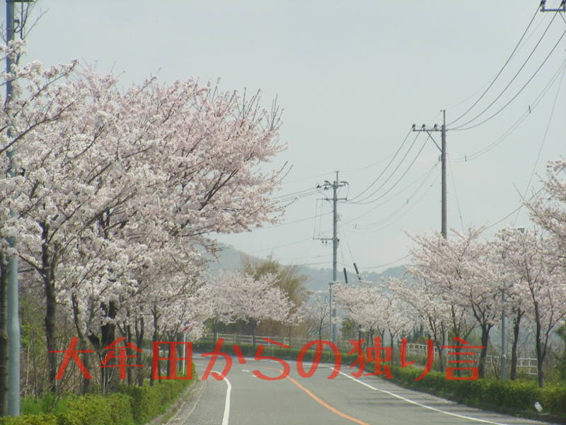 �����̍�