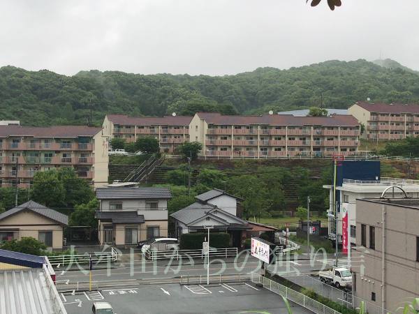 scZ