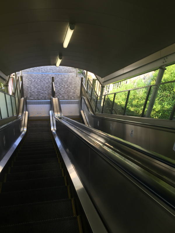 �G�X�J���[�^�[