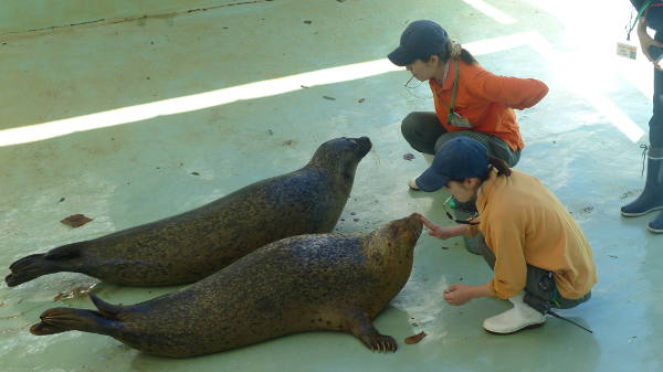 �喴�c�s�����������炵