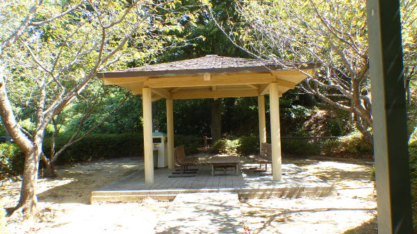 �喴�c�s������