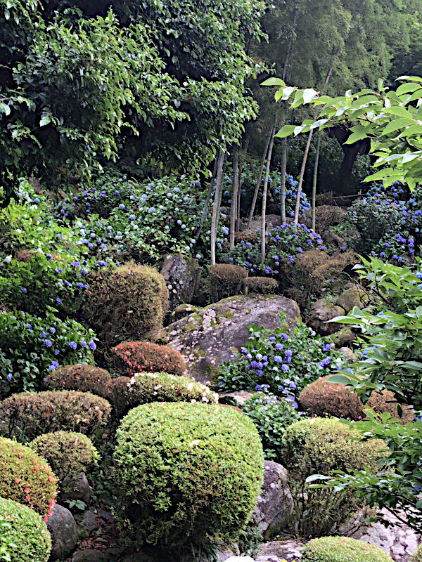 ��ю�����