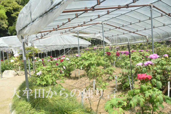 �����R�ڂ���