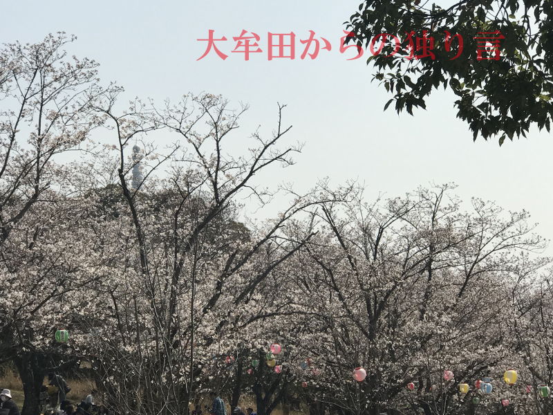 �Ö،����̍�