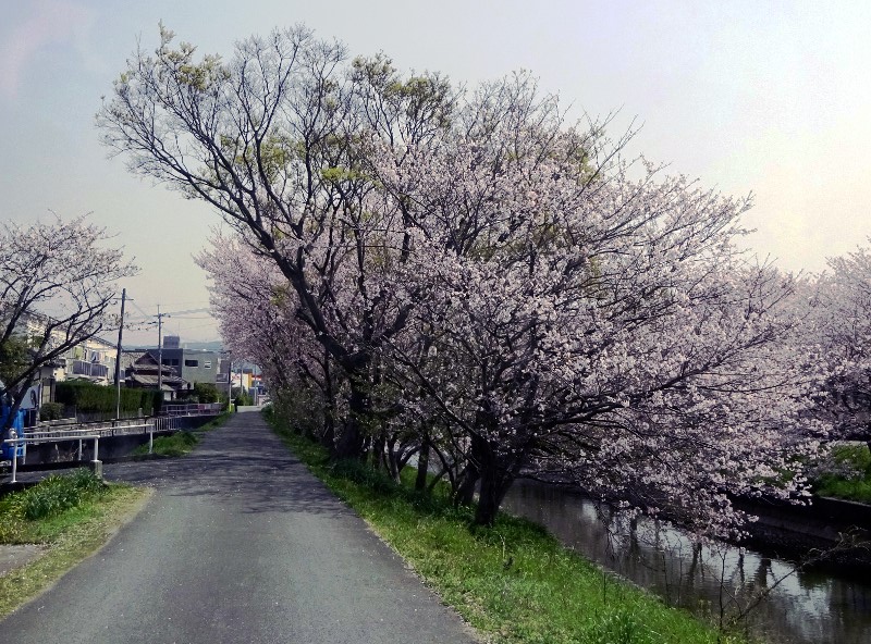 �����O�����̍�