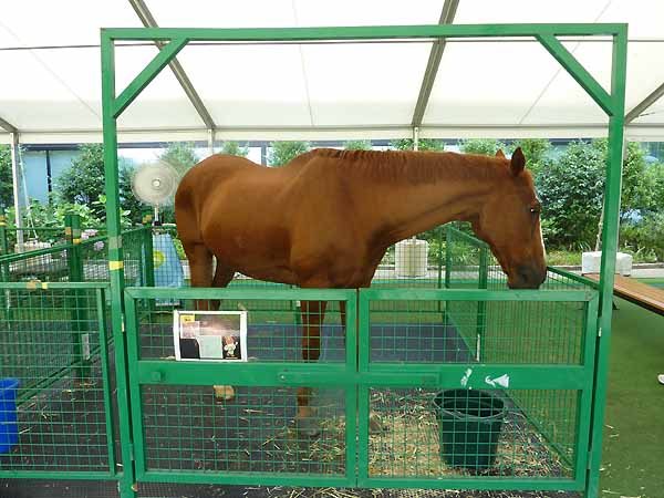 �V���U���Y��