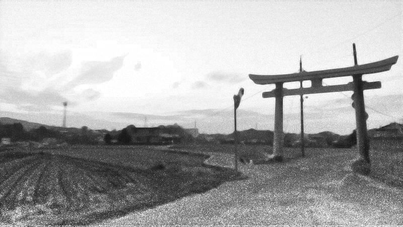 �O�r�{����