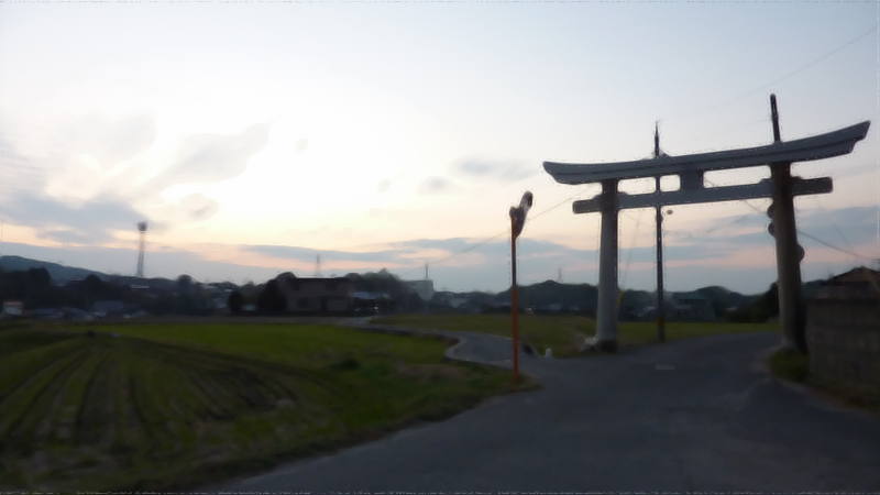 �O�r�{����