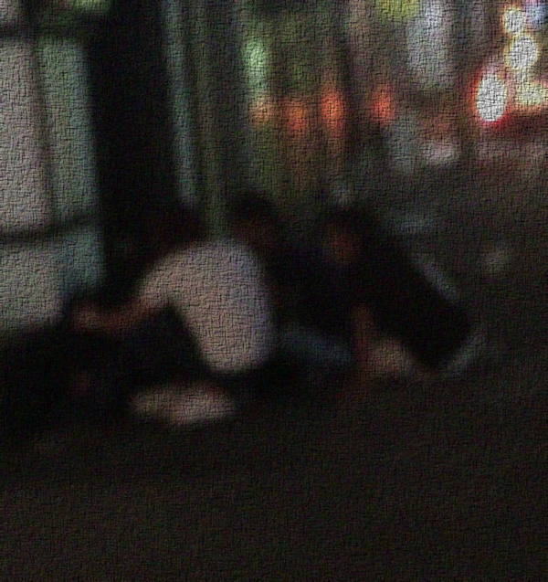 ����ł��